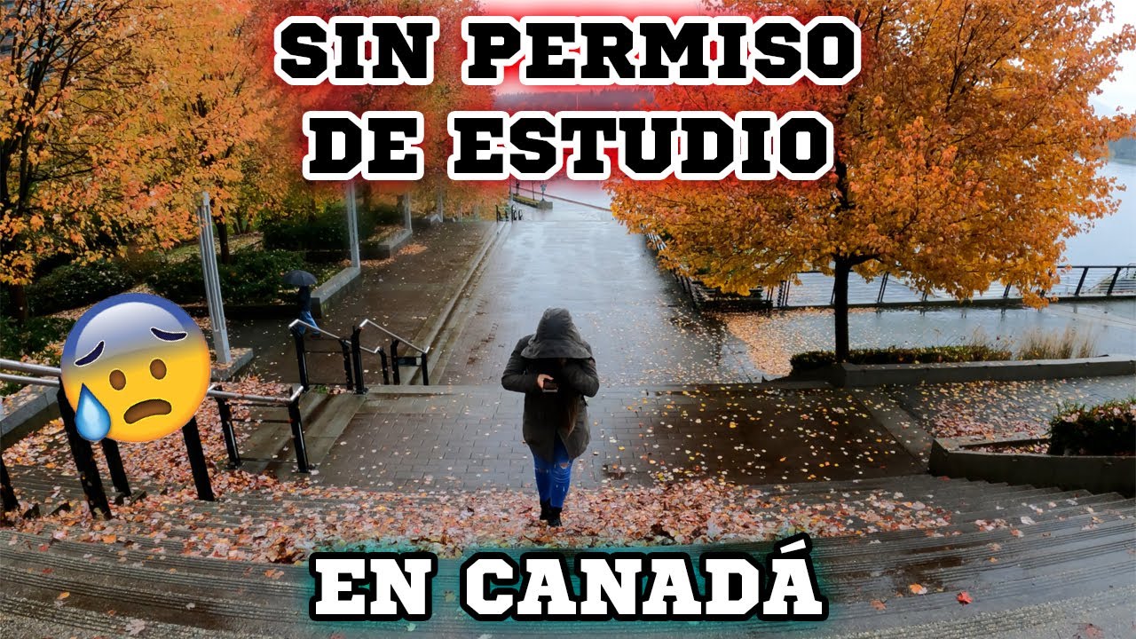 🚫 Que NO les pase ESTO al llegar a Canadá | FLAGPOLING | Estudiante Internacional