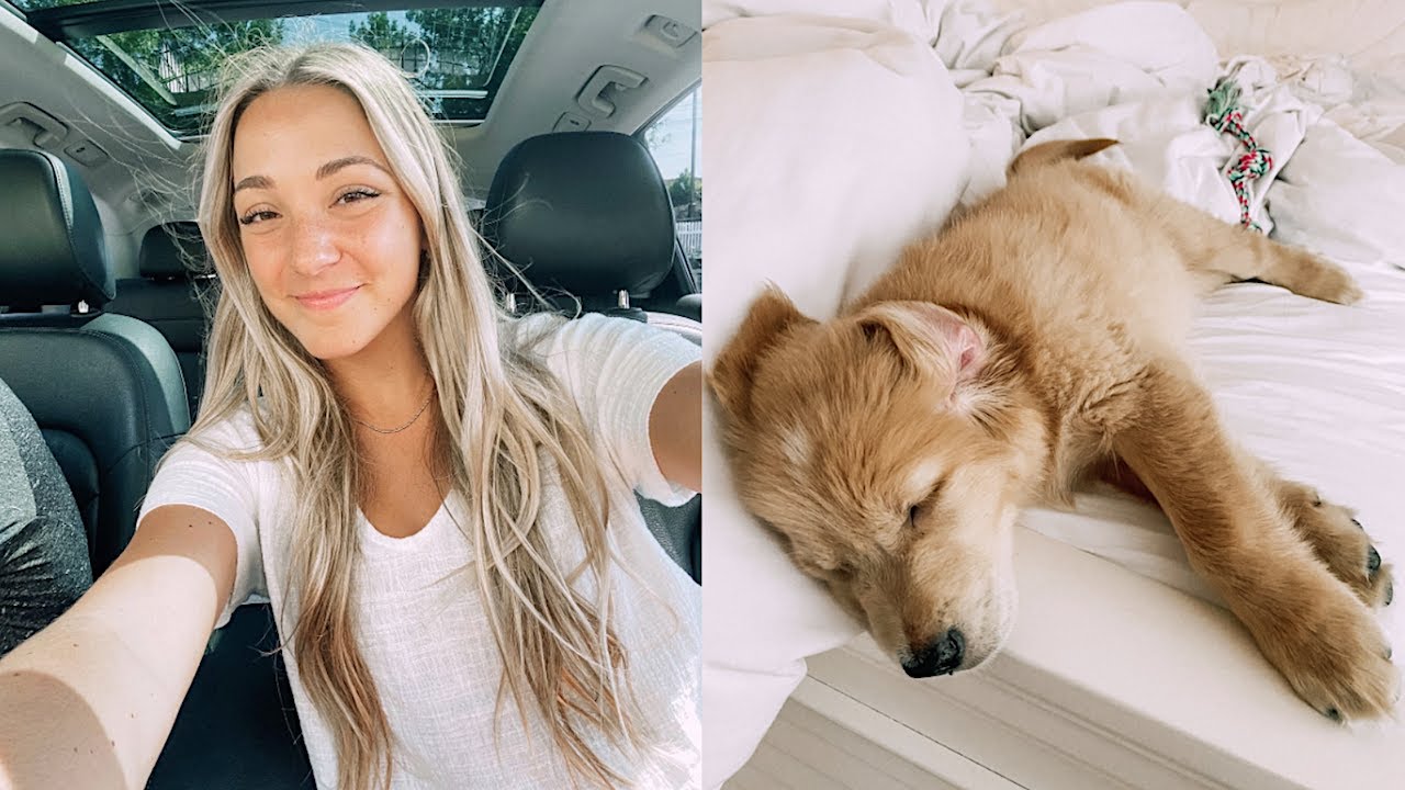 VLOG: Brody’s first vet appt & mom’s pregnancy journal!