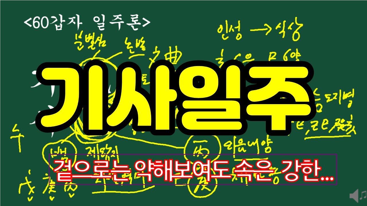 기사일주
