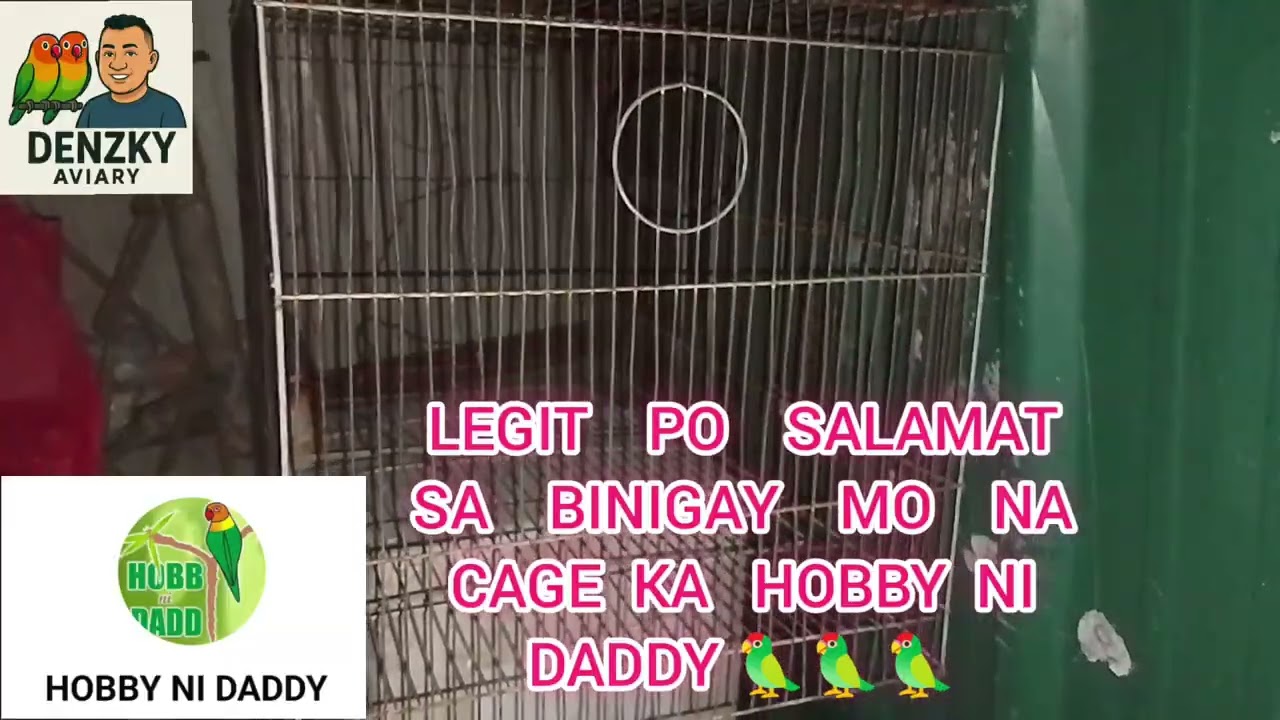 SALAMAT PO SAYO KA HOBBY NI DADDY SA BINIGAY MO NA CAGE 🦜🦜🦜