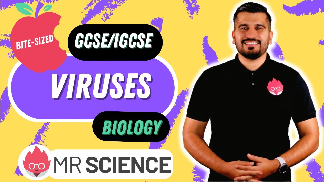 Viruses | Bite-sized | GCSE | IGCSE Biology | Mr Science in 8K