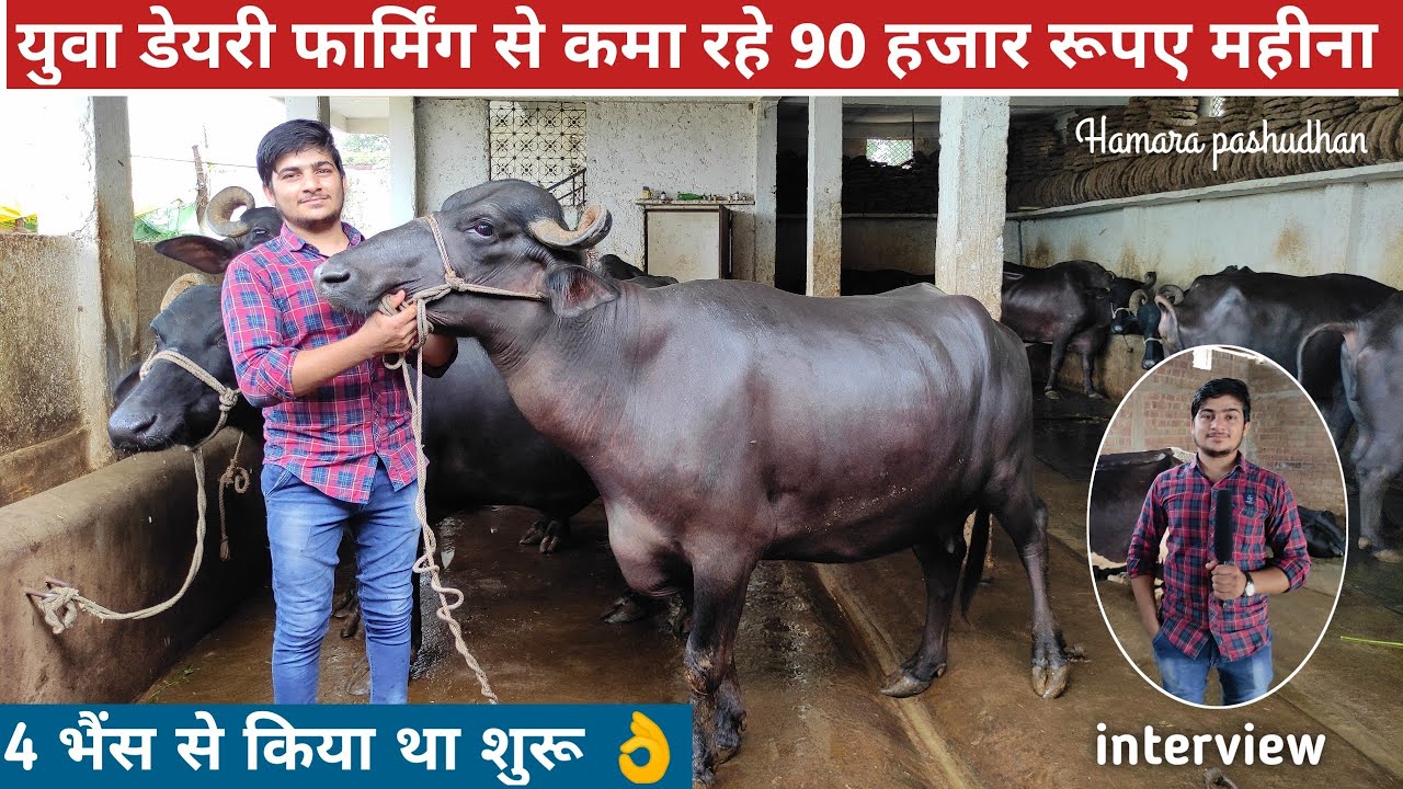 20 साल के युवा गांव में  रहकर कर रहे डेयरी फार्मिंग कमा रहे लाखो || dairy farming in india