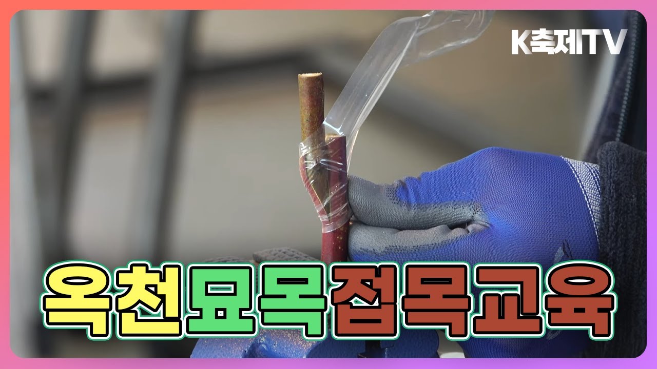 실패 없는 접목 비법 공개!🌱 공식사업단과 함께하는 묘목 교육✨