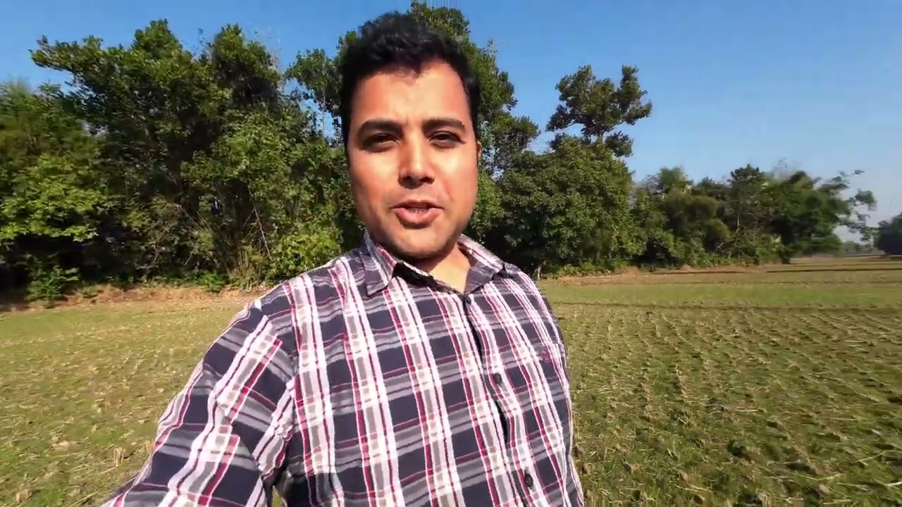 পৌষের ঝলমলে রোদেলা দুপুরে গাজীপুরের গ্রাম। Village of Gazipur 
