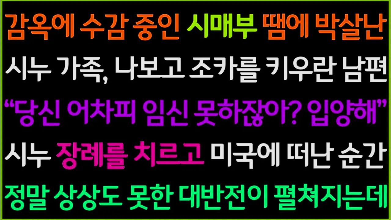 신청사연-사기죄로 끌려간 시매부로 인해 박살난 시누가족, 그 꼴을 보고 갓난아이 조카를 데려다 키우자는 남편, 시누 장례를 치르고 미국으로 떠난 순간, 내 인생 상상치도 못할 일이