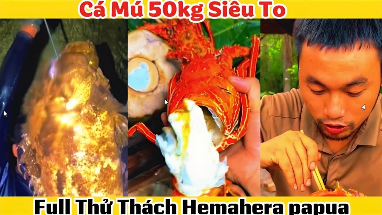 Phần 4| Full Thử Thách Sinh Tồn Đảo Hoang Hemahera Papua