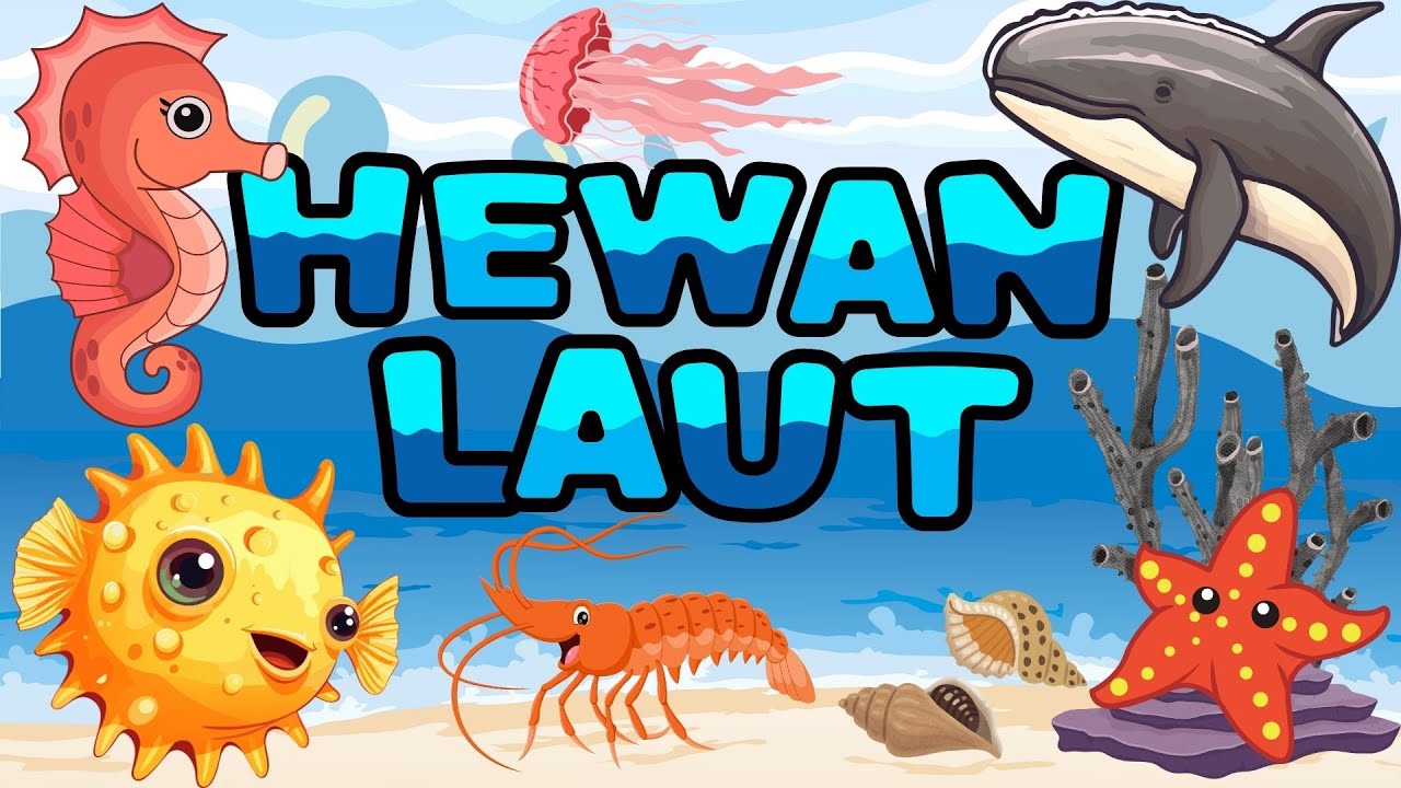Yuk Belajar Mengenal Nama-Nama Hewan Laut🐟🐋 | For Kids (Part 5)