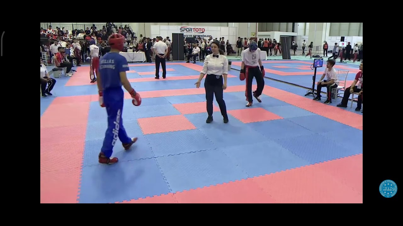 KICK BOXING Dimitrios Mantes world cup Turkish open 🥇 Gold Medal