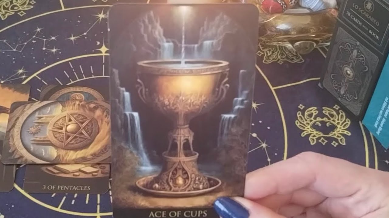 Schütze ♐ Dein Wunsch nach Veränderung 😖⛓️‍💥 wird gehört! 😇✨ Zwei Angebote kommen. 🫴🪙💝 01.-14.02.26