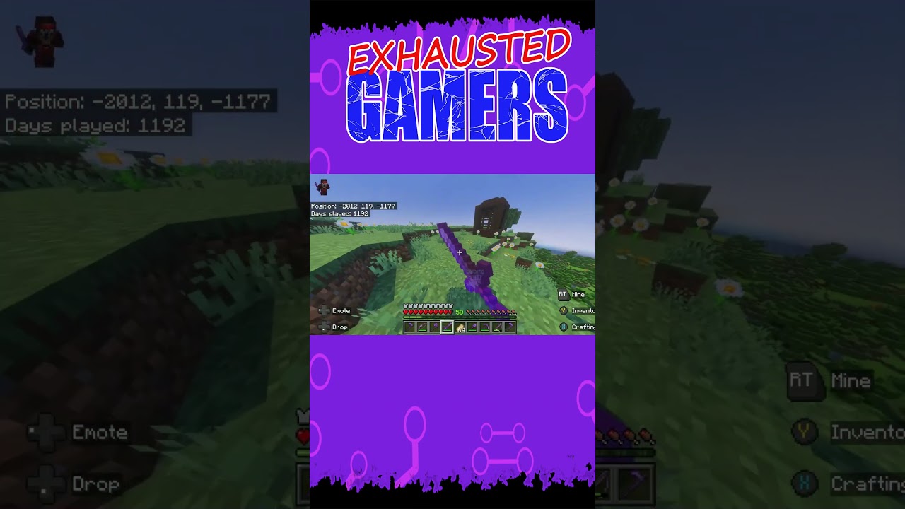 TRANSLATING PILLAGER SPEAK | Minecraft