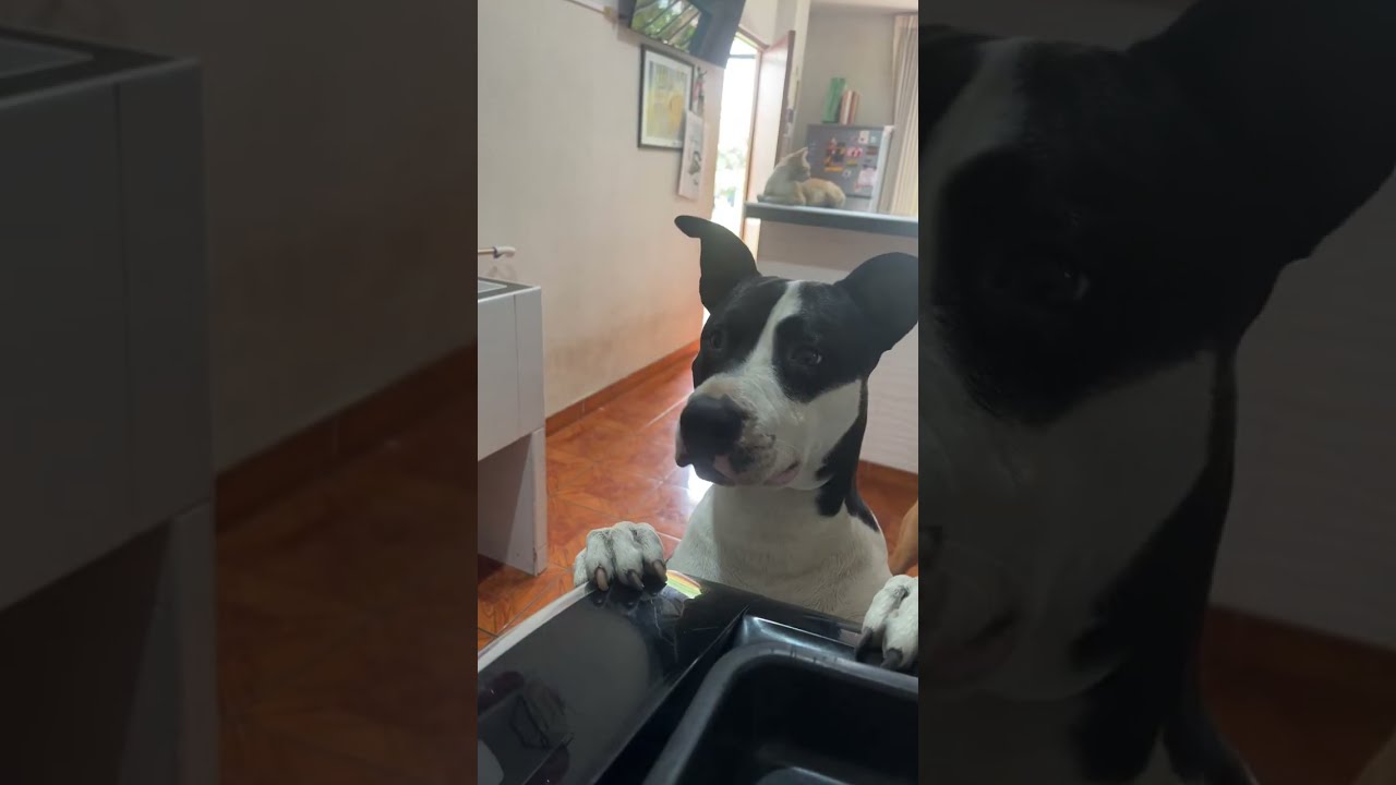 Virginia Te Cuenta está en vivo