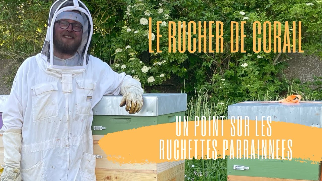 Visite des ruchettes parrainées - Un point sur la saison.