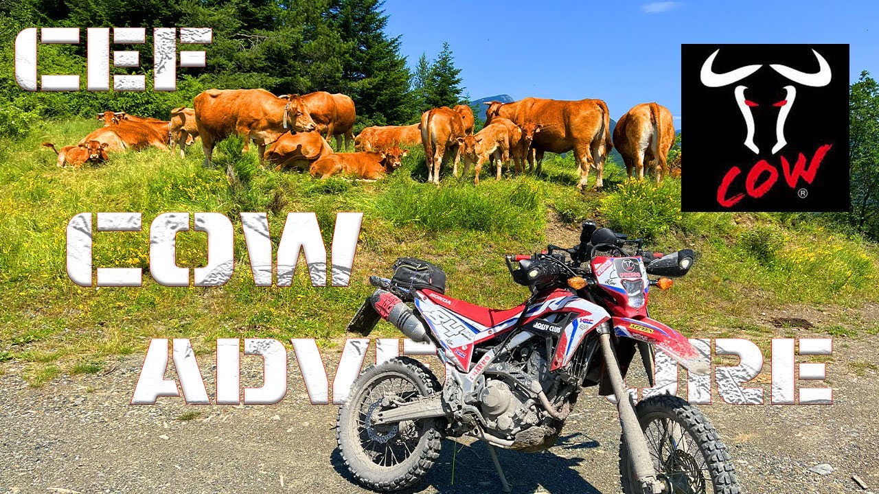 C&eacute;F / COW ADVENTURE 2023 - La fine del magnifico Trip - Day 2
