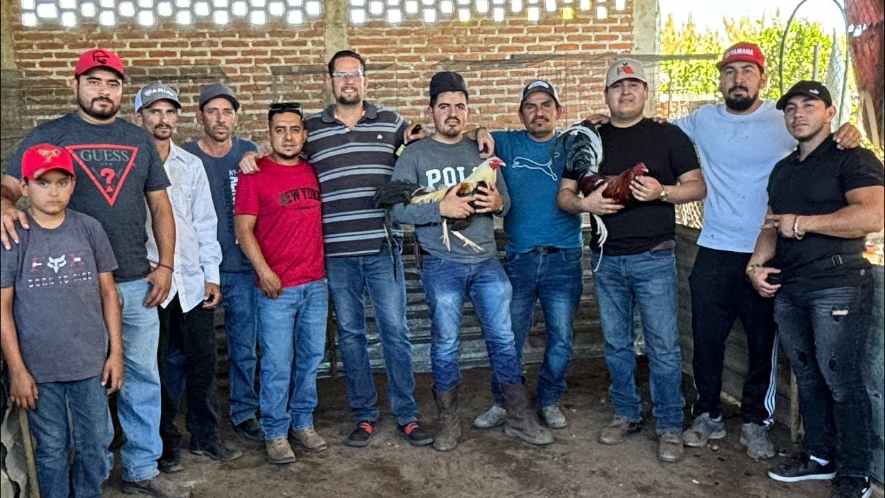 VISITAMOS LA GALLERA DE @Ivan Avila y GANAMOS EL COMPROMISO DE YOUTUBERS
