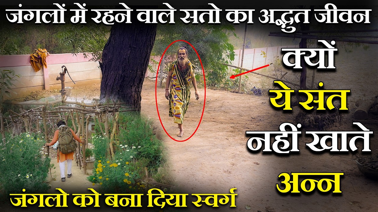 जंगलों में रहने वाले संतों का अद्भुत जीवन क्यों यह संत नहीं खाते अन्न जंगलों को बना दिया स्वर्ग