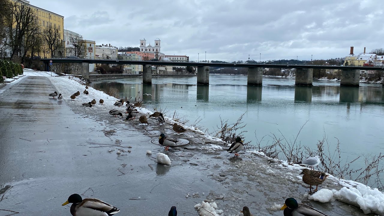 Walking Passau, Bavaria in 4k - University to City Hall - Winter 2020