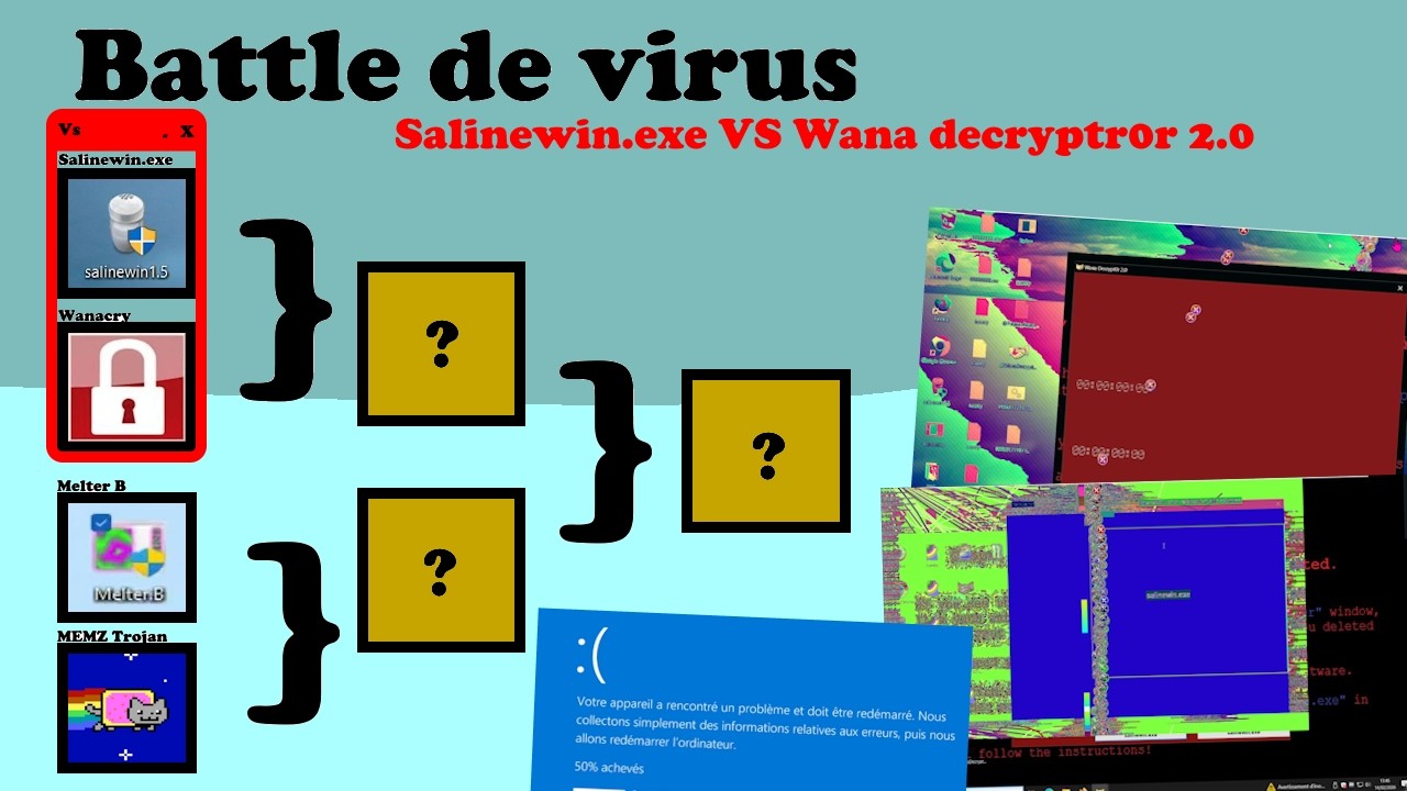Salinewin VS Wana cry, Qui gagne ?