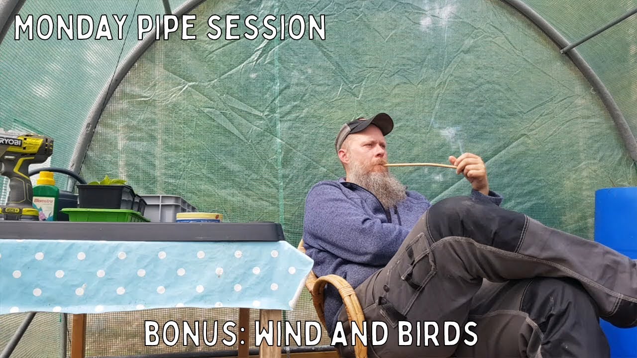 Windy outside, so we have todays pipe session in the greenhouse tunnel. ASMR