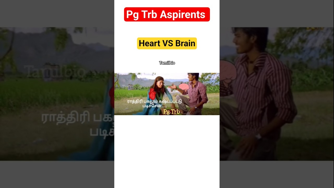 🔴Pg Trb Aspirents Now👆💥#pgtrbeducation #pgtrbeducation #pgtrb2025 #pgt #song #pgtrb