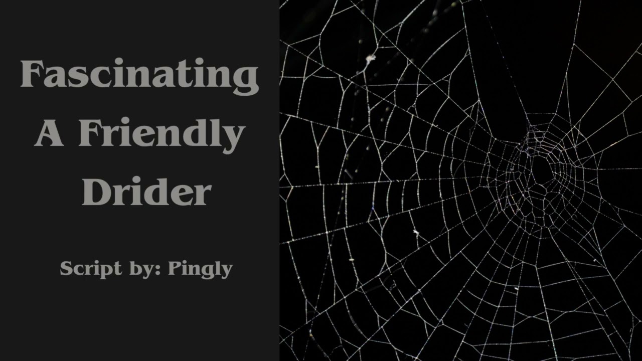 Fascinating A Friendly Drider [ASMR Roleplay] [M4F] [Fantasy] [Drider Speaker x Human Listener]