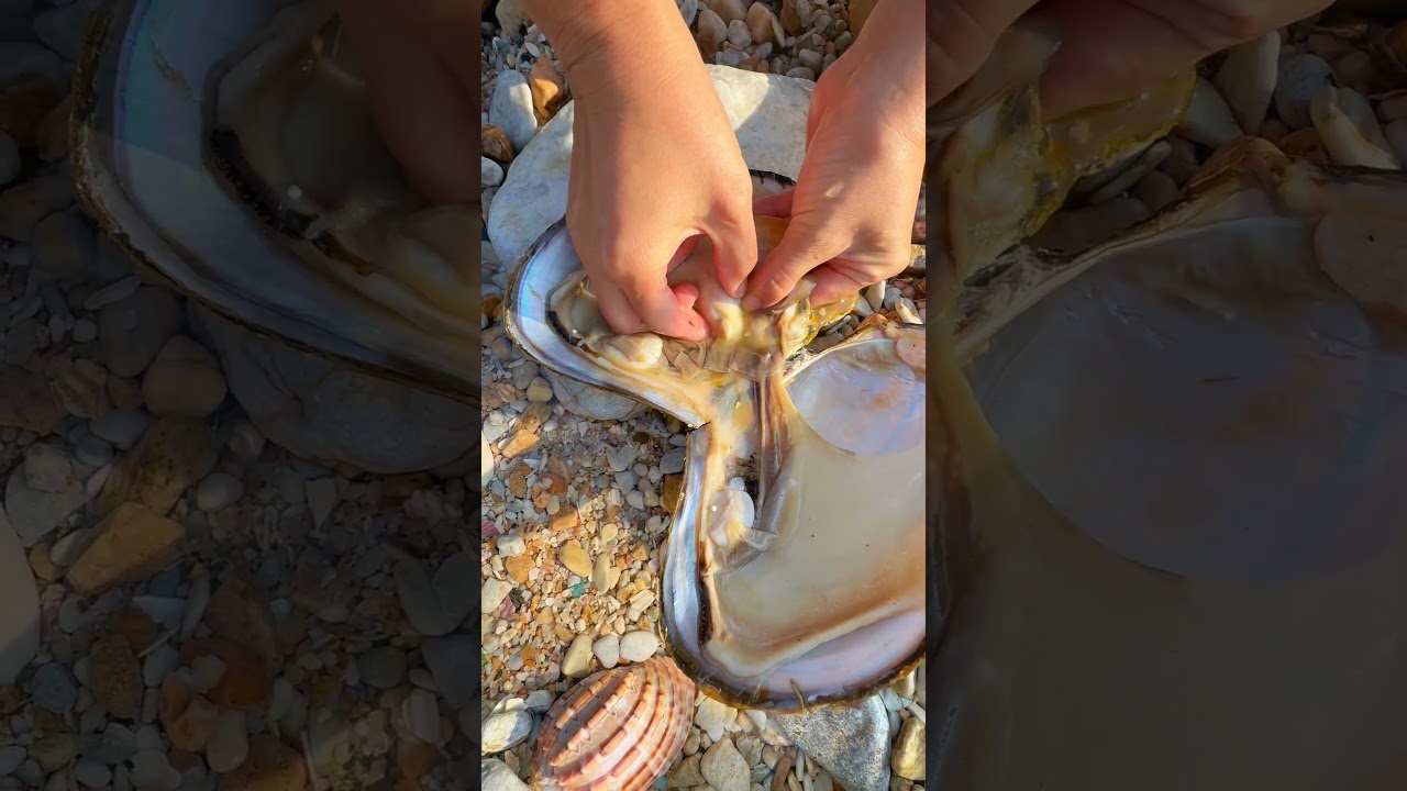 Sea Agate and Sea Crystal: Finding Hidden Treasures on the Shore and rare pearl