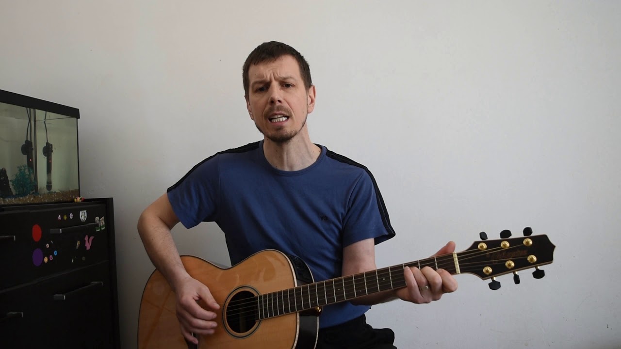 Vasile Mardare - Cabana ( cover by Armin )