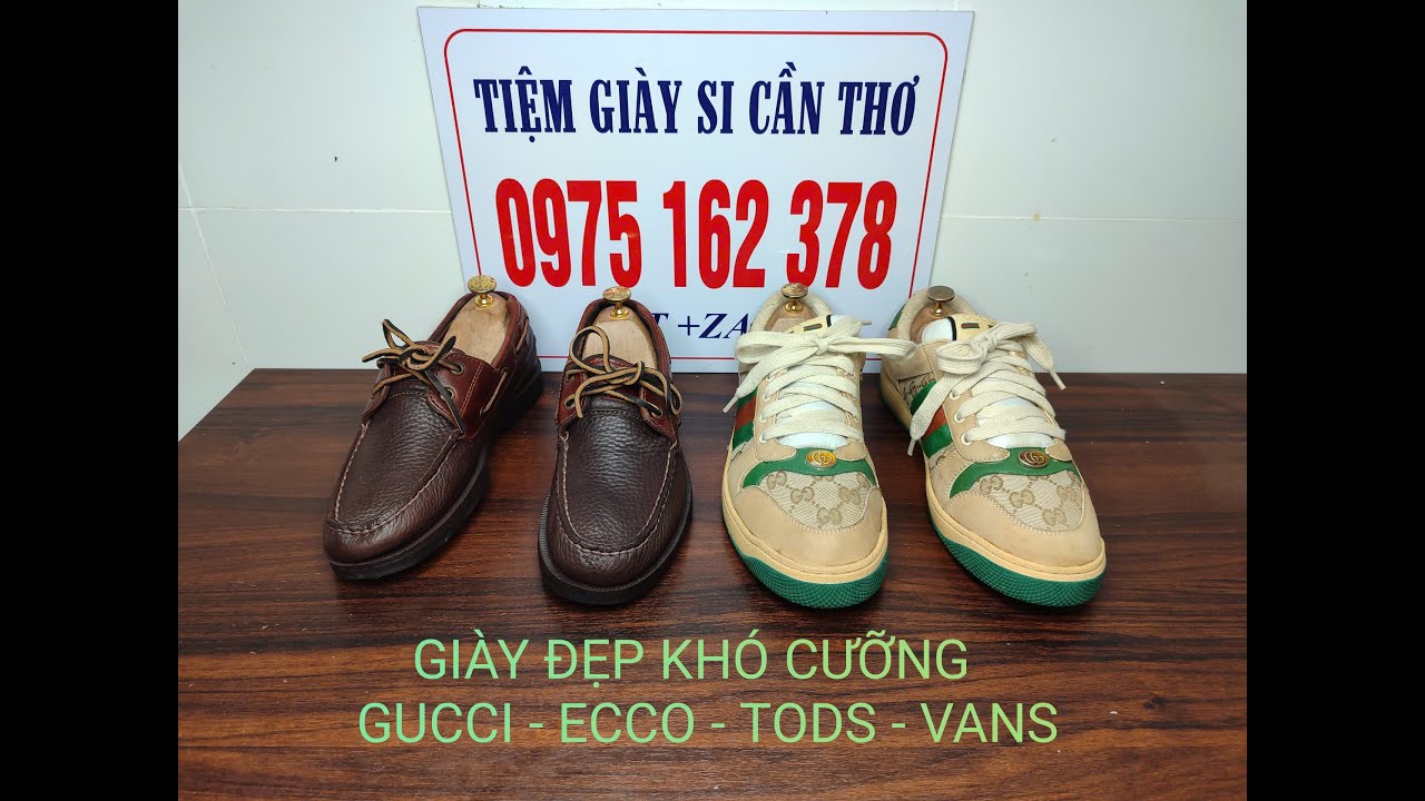 GIÀY ĐẸP KHÓ CƯỠNG: GUCCI - TODS - ECCO. NGÀY 27/01/2026