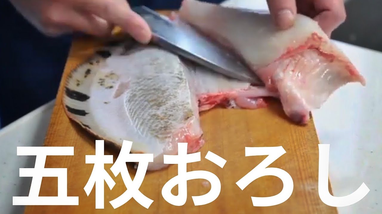 カレイの五枚おろし｜身を崩さない包丁の入れ方