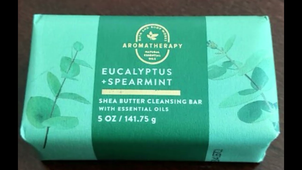 tribute to eucalyptus spearmint bath and body works soap bar