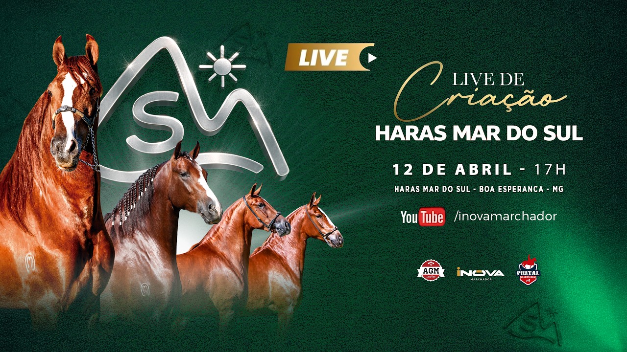 LIVE DE CRIA&Ccedil;&Atilde;O - HARAS MAR DO SUL