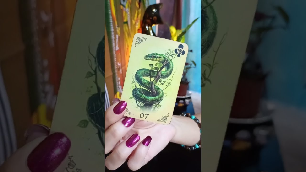 ♑💜 CAPRICÓRNIO 💜 ♑A SERPENTE,TRAZ ALERTAS, MAS VC PODE SE TRANQUILIZAR..