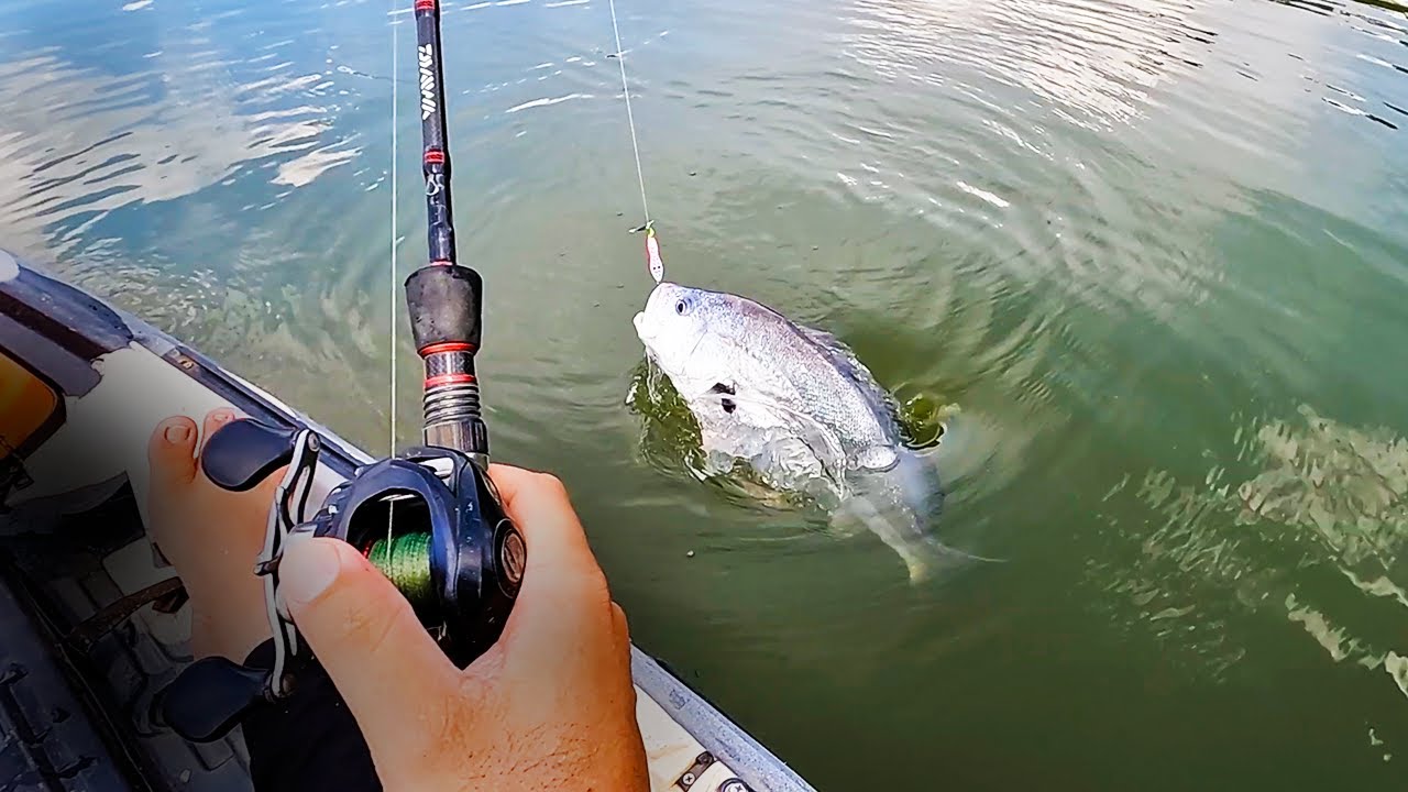 PESCA DE CORVINA COM ISCA ARTIFICIAL