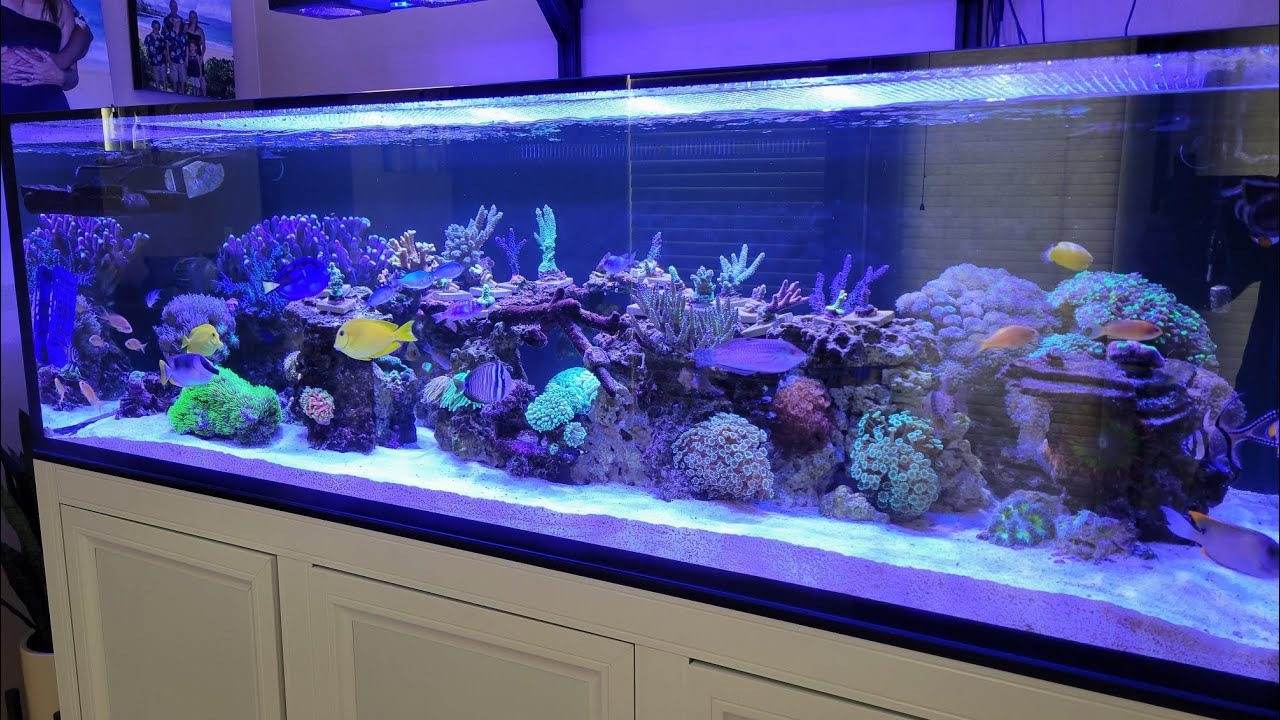 June 2024 Innovative Marine EXT 200 Replacement Tank update