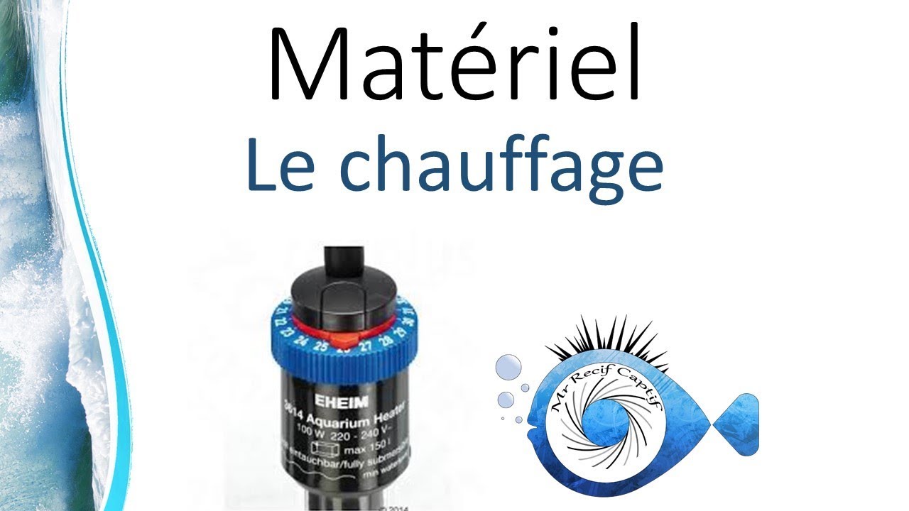 Le chauffage de l'aquarium - Mr Recif Captif #197