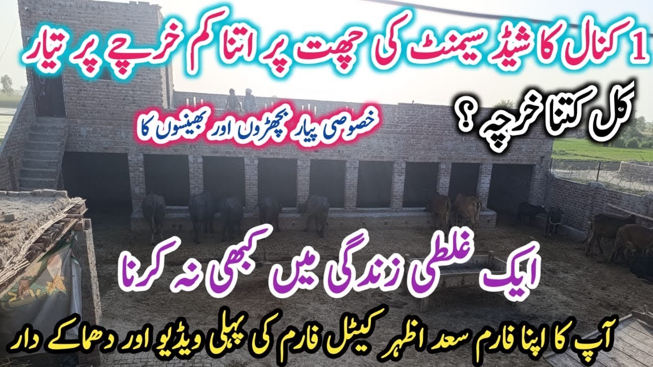 Low Cost of cement roof| Cement roof or bamboo| Get Modern Style Shed