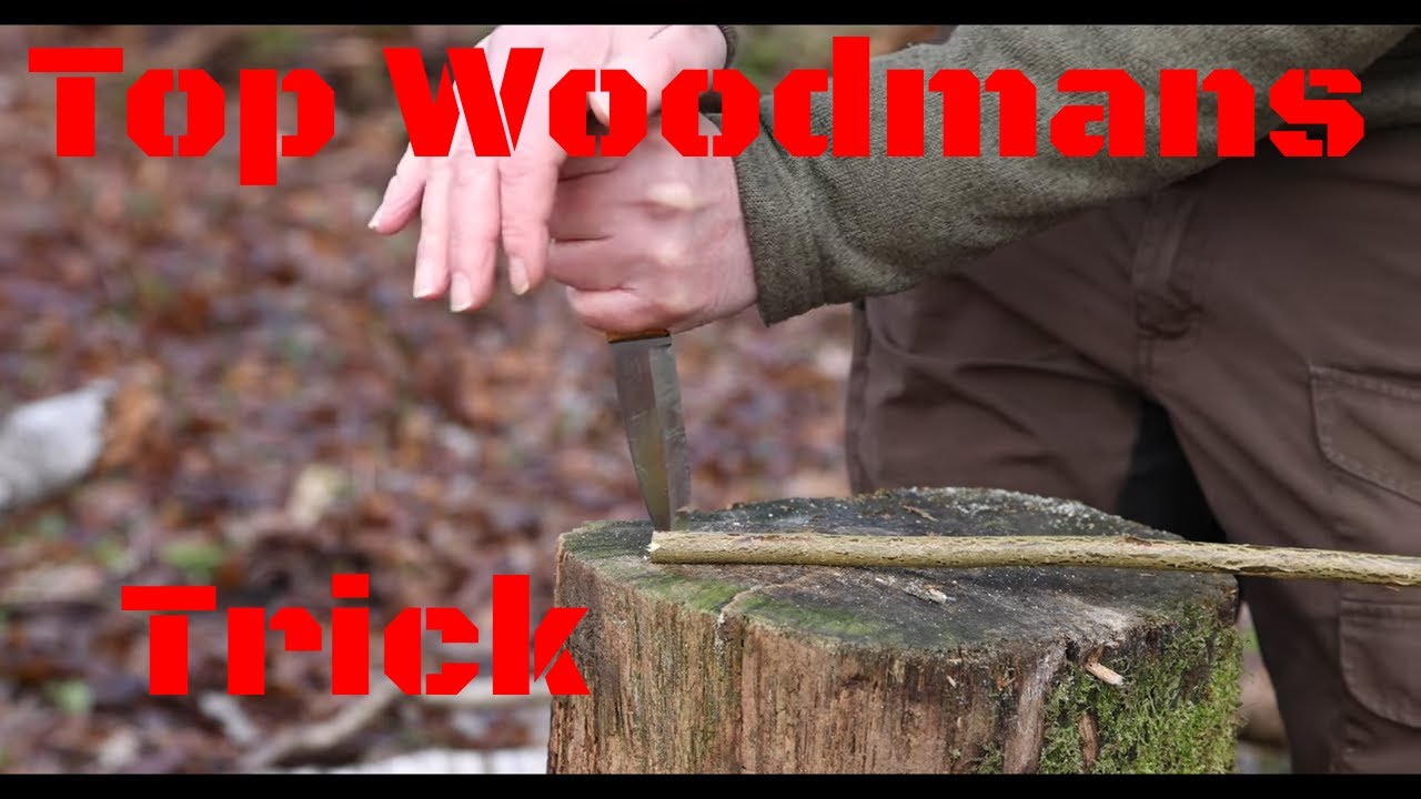I Bet You Didn't Know This Old Woodman's Trick