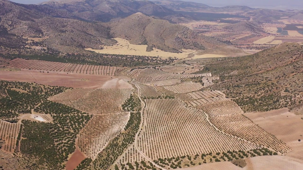 CHIRIVEL _ ALMERIA _ BARANCO DE MULA
