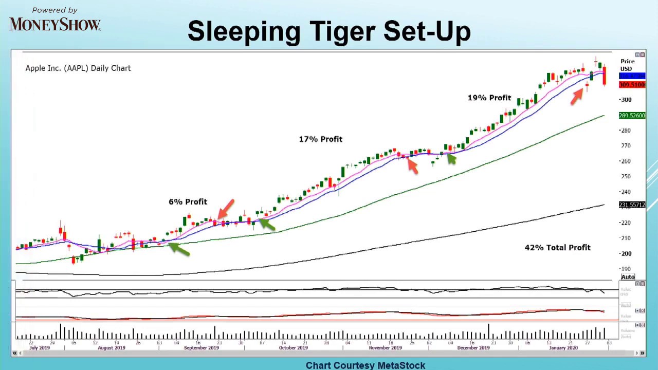 How to Power Up Your Swing Trading Profits | Toni Turner