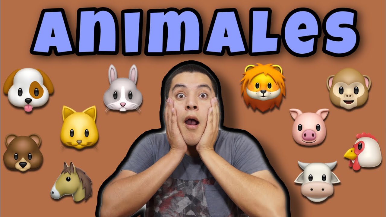 ANIMALES EN LENGUA DE SEÑAS MEXICANA LSM