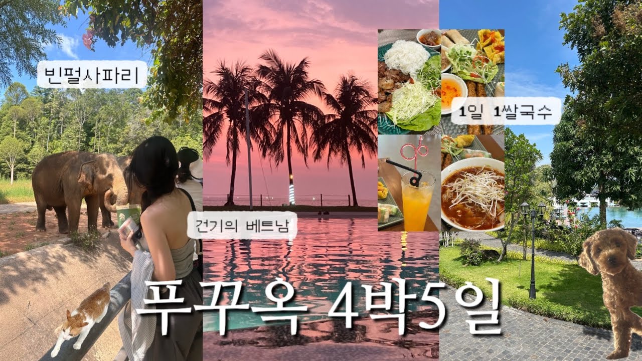 🇻🇳베트남 푸꾸옥 자매여행 VLOG 🌴(빈펄사파리 | 메오키친 | 선셋타운)북부, 중부, 남부 알차게 즐긴 4박 5일