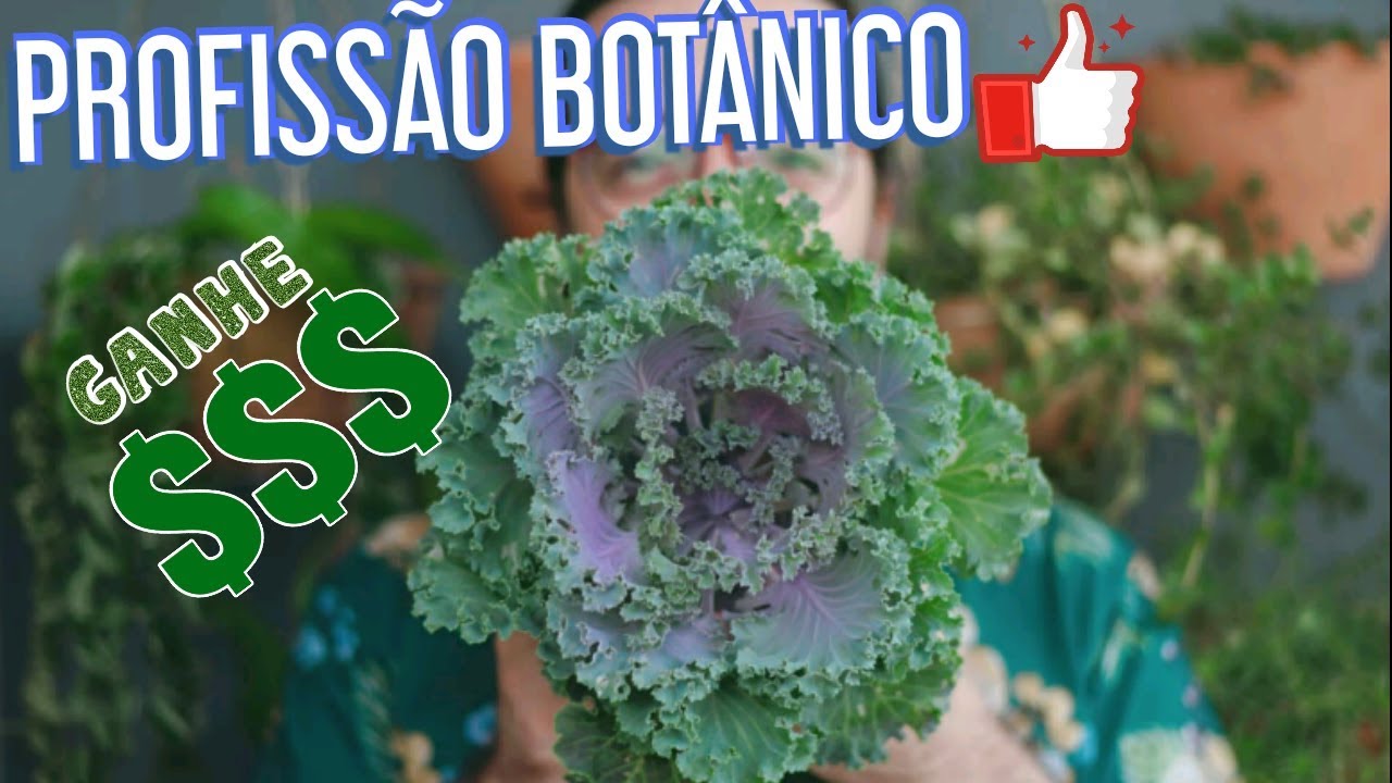 O que &eacute; bot&acirc;nica e o que um bot&acirc;nico faz? &ndash; Biologia Vegetal