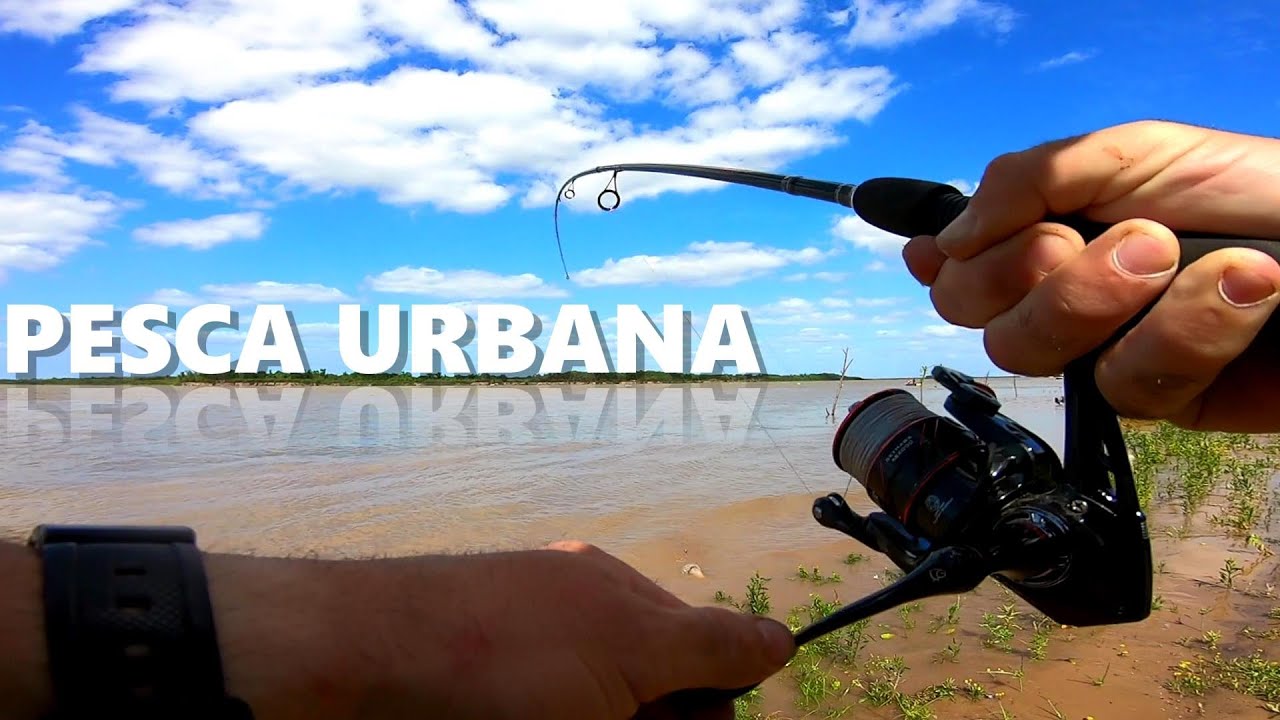 Recorrida de pesca y naturaleza, sapos, aves, especies de peces y casa abandonada. PESCA URBANA