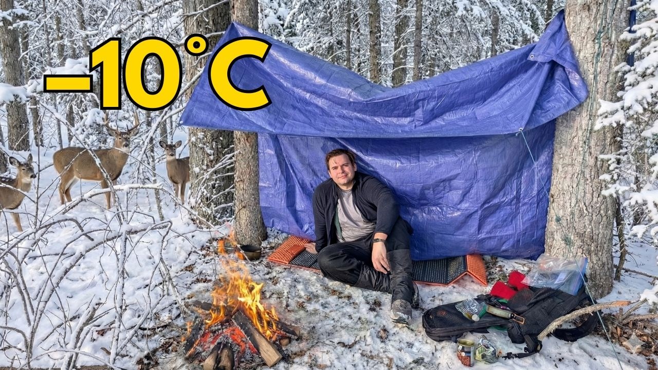Solo Winter Camping at –10°C: Unexpected Visitors