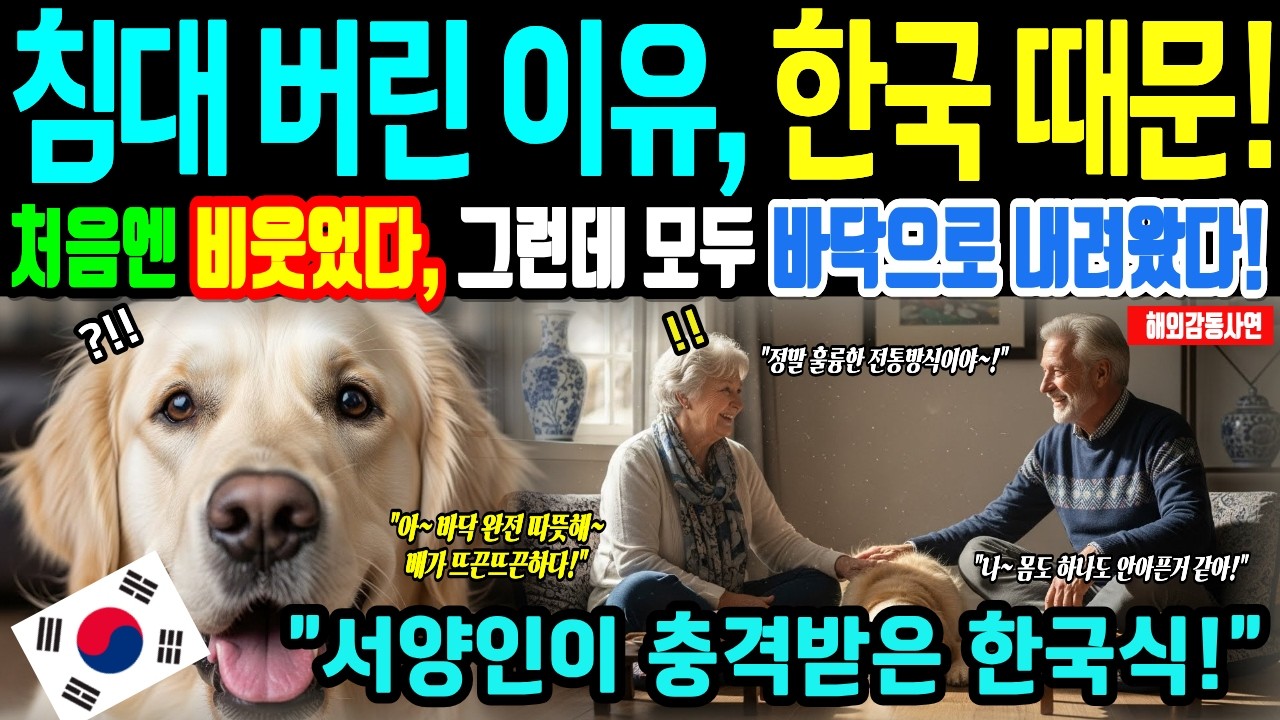 [해외감동사연] 한국 며느리가 네덜란드 시댁에 온돌 깔자 유럽 사람들이 바닥에 앉기 시작한 충격적인 이유! K-난방의 위력에 외국인들 모두 발칵뒤집어짐!