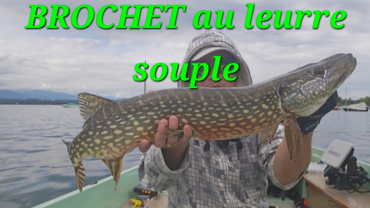 ☆BROCHETS du Léman☆ au leurre
