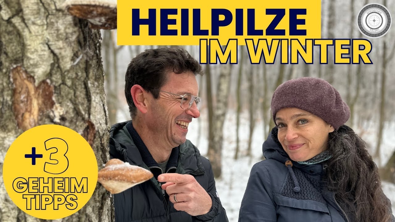DIY - SO EINFACH - HEILPILZE im WINTER finden + 3 GEHEIMREZEPTE zur Anwendung