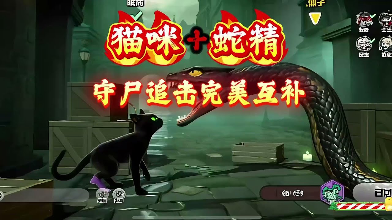 猫咪和蛇精的守尸、追击互补会有恐怖？