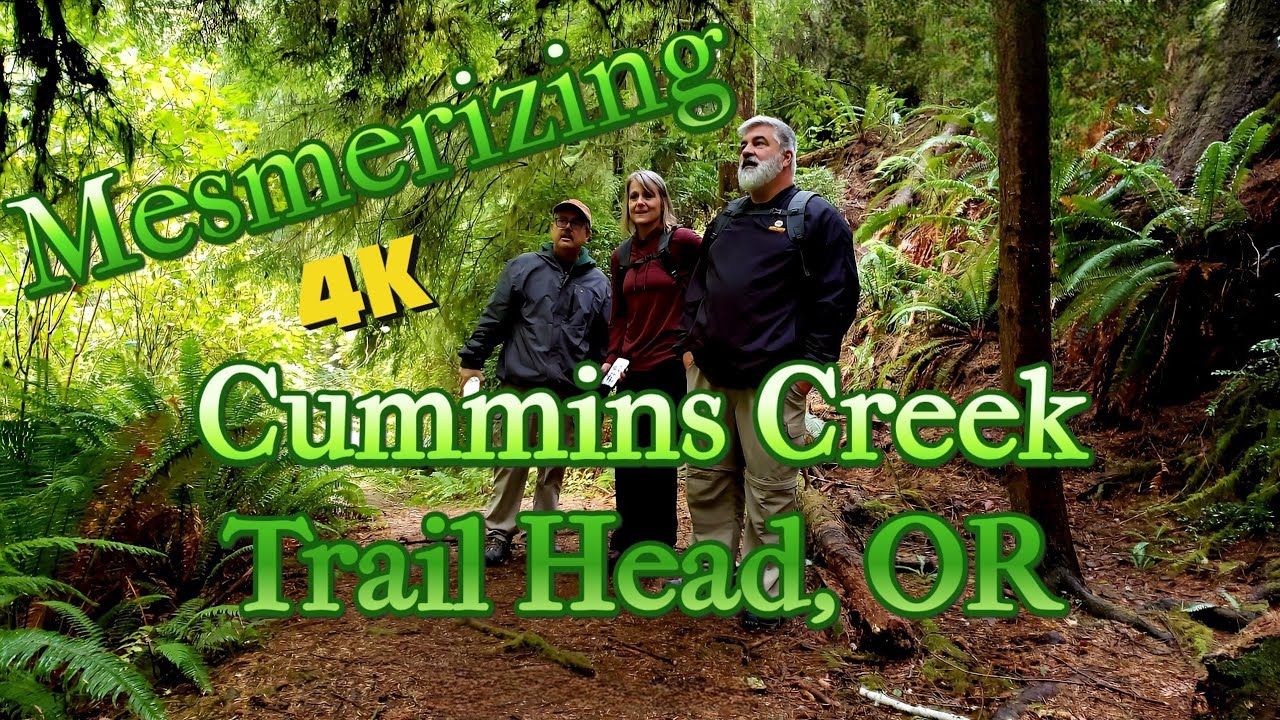 Mesmerizing Misty Scenery.  Cummins Creek Trail Head 🥾