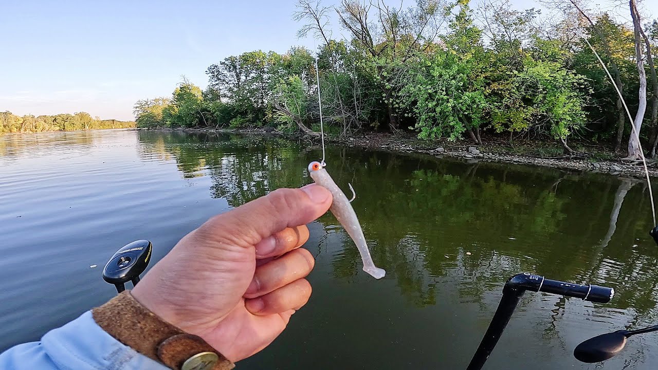 Рыбалка с берега на приманку Swim Bait (Идеальная река?)