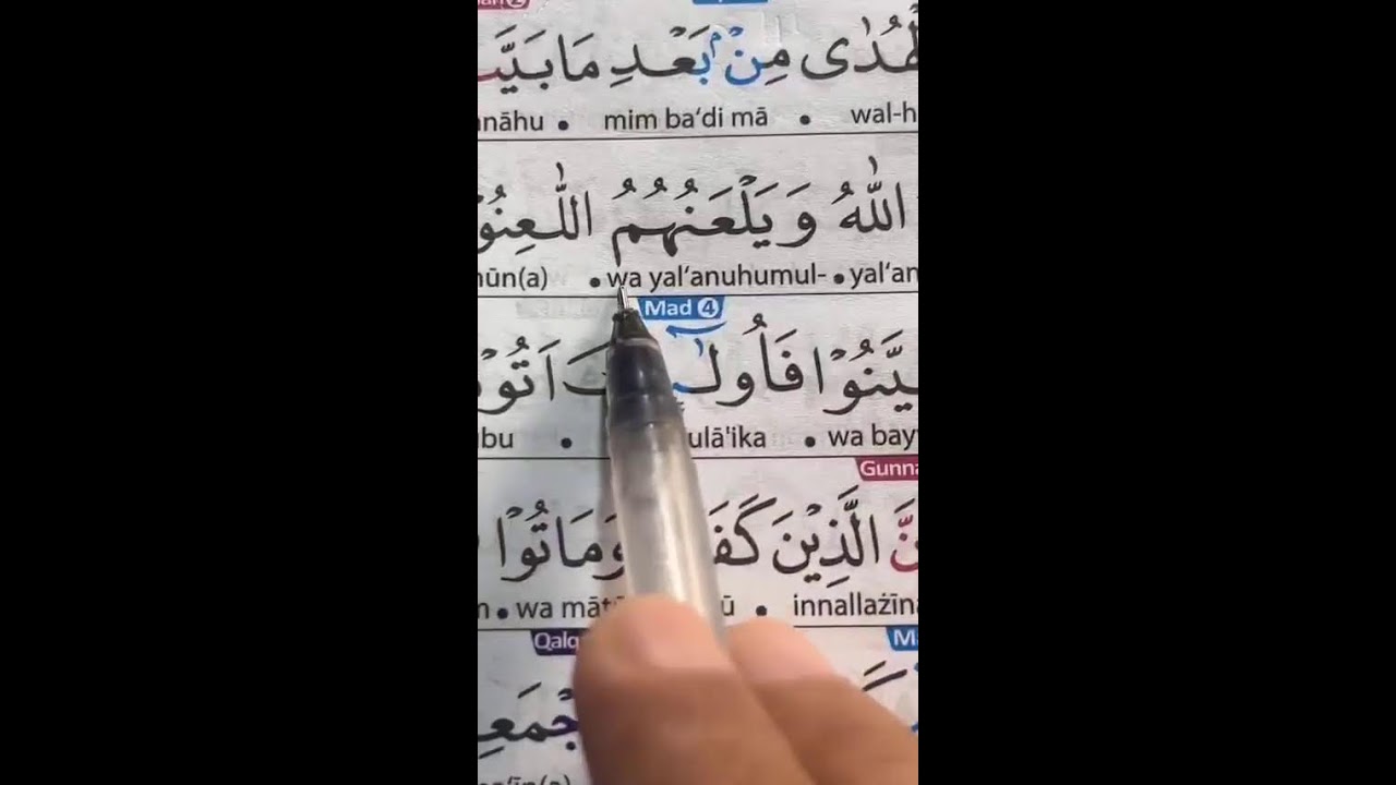 FOKUS BELAJAR AL-QURAN TAJWID